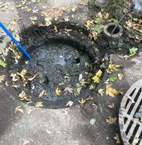 sewer and drain cleaning erie pa